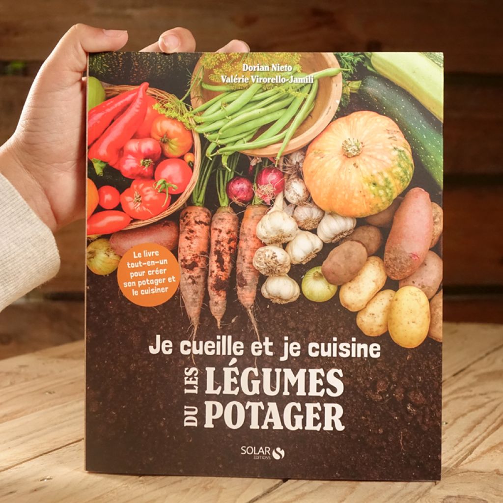 Je cueille et je cuisine mon potager