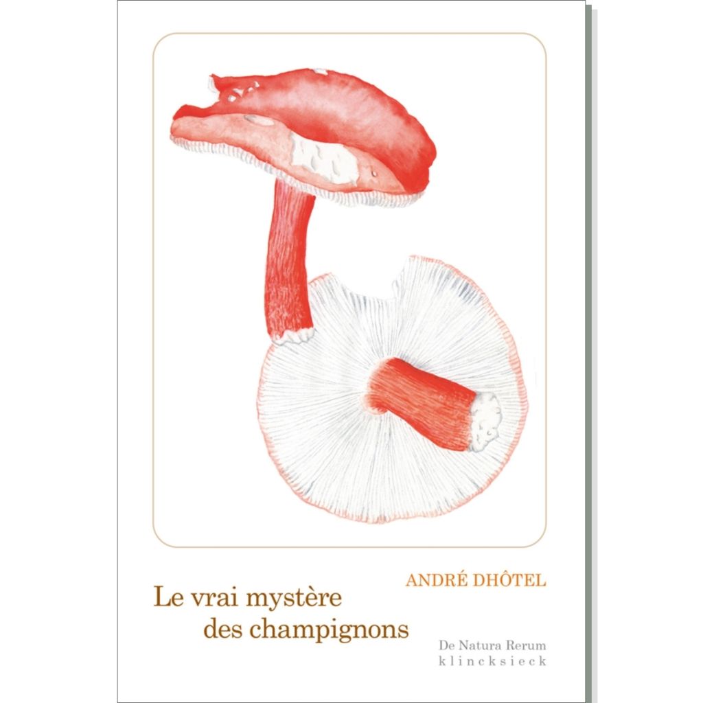 Le Vrai mystère des champignons