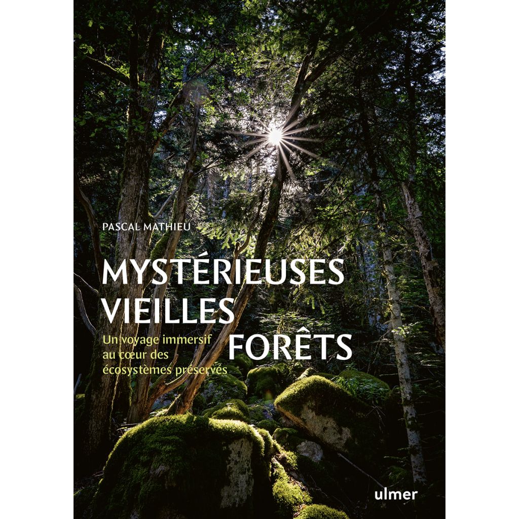 Mystérieuses vieilles forêts