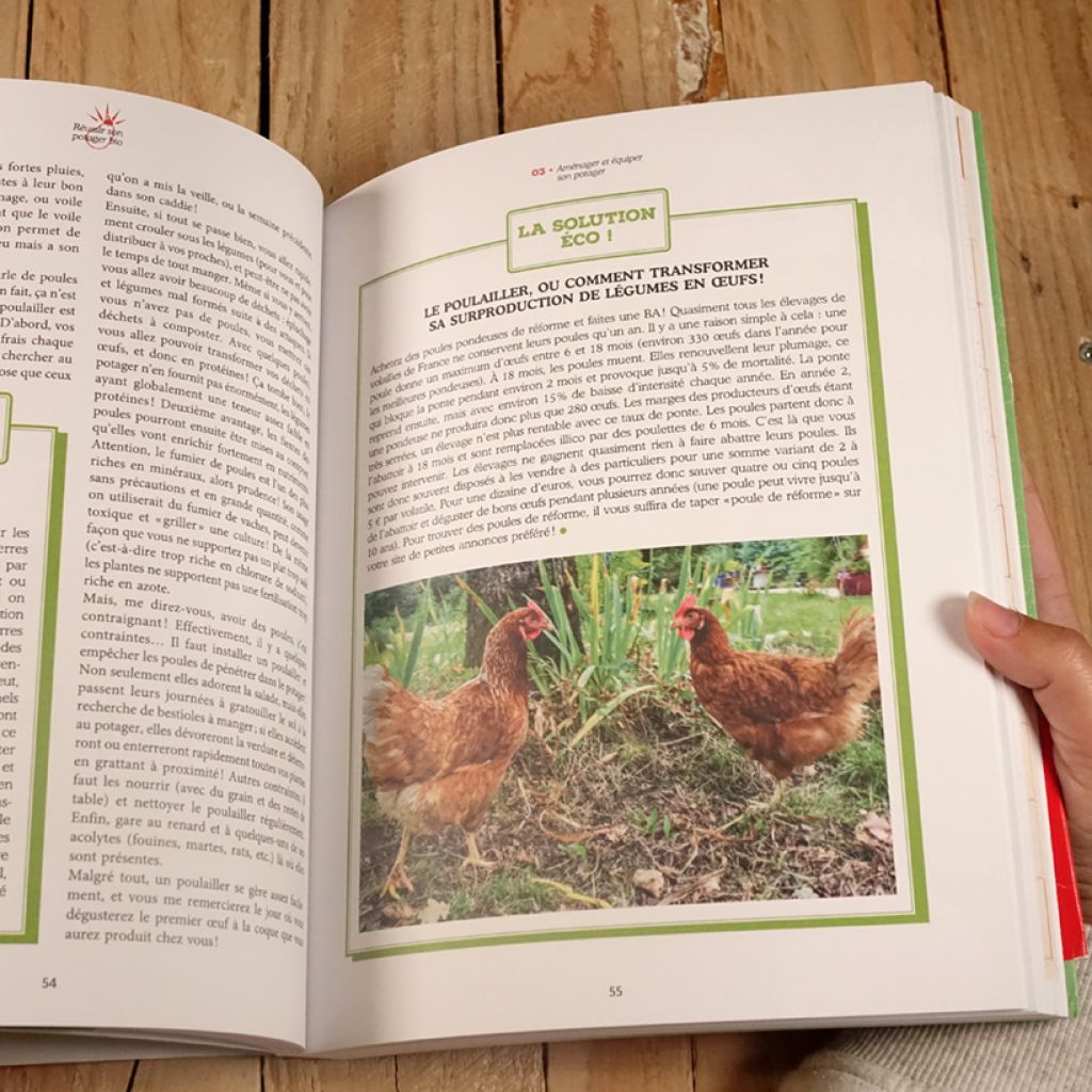 Réussir son potager bio en partant de zéro