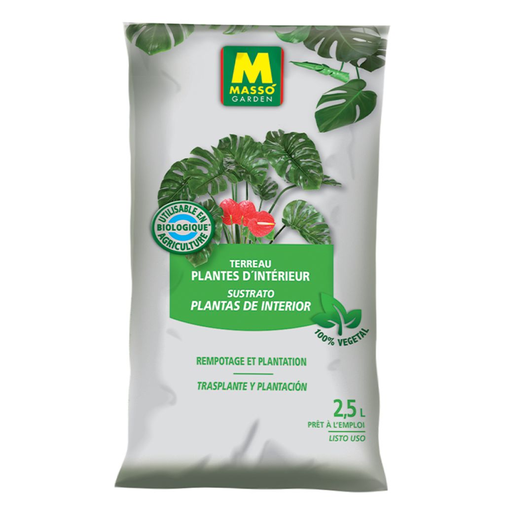 Terreau Plantes d'Intérieur Masso UAB