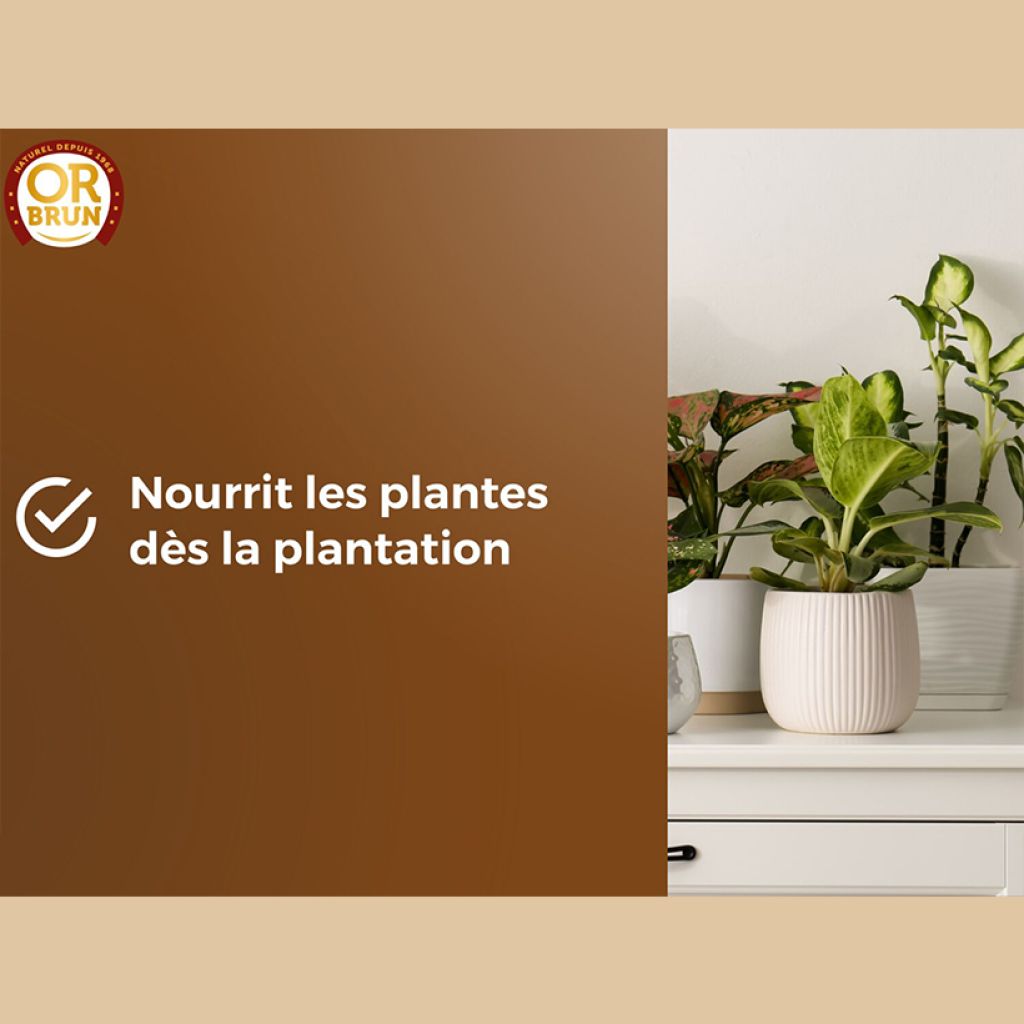 Terreau rempotage universel Or Brun