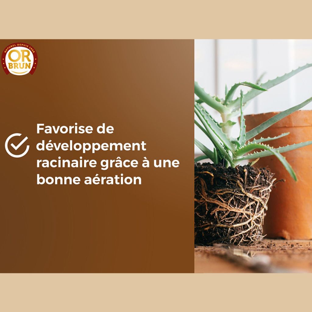 Terreau rempotage universel Or Brun