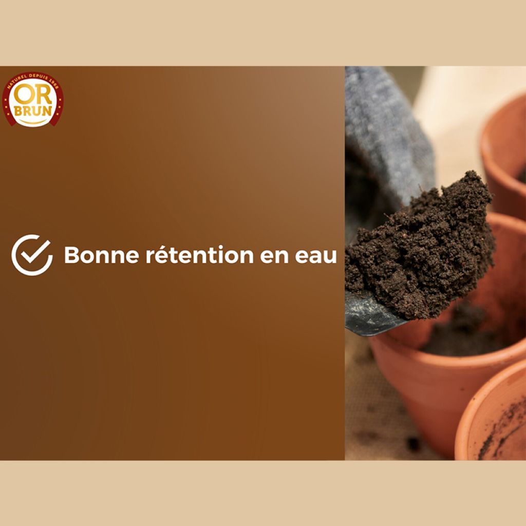 Terreau rempotage universel Or Brun