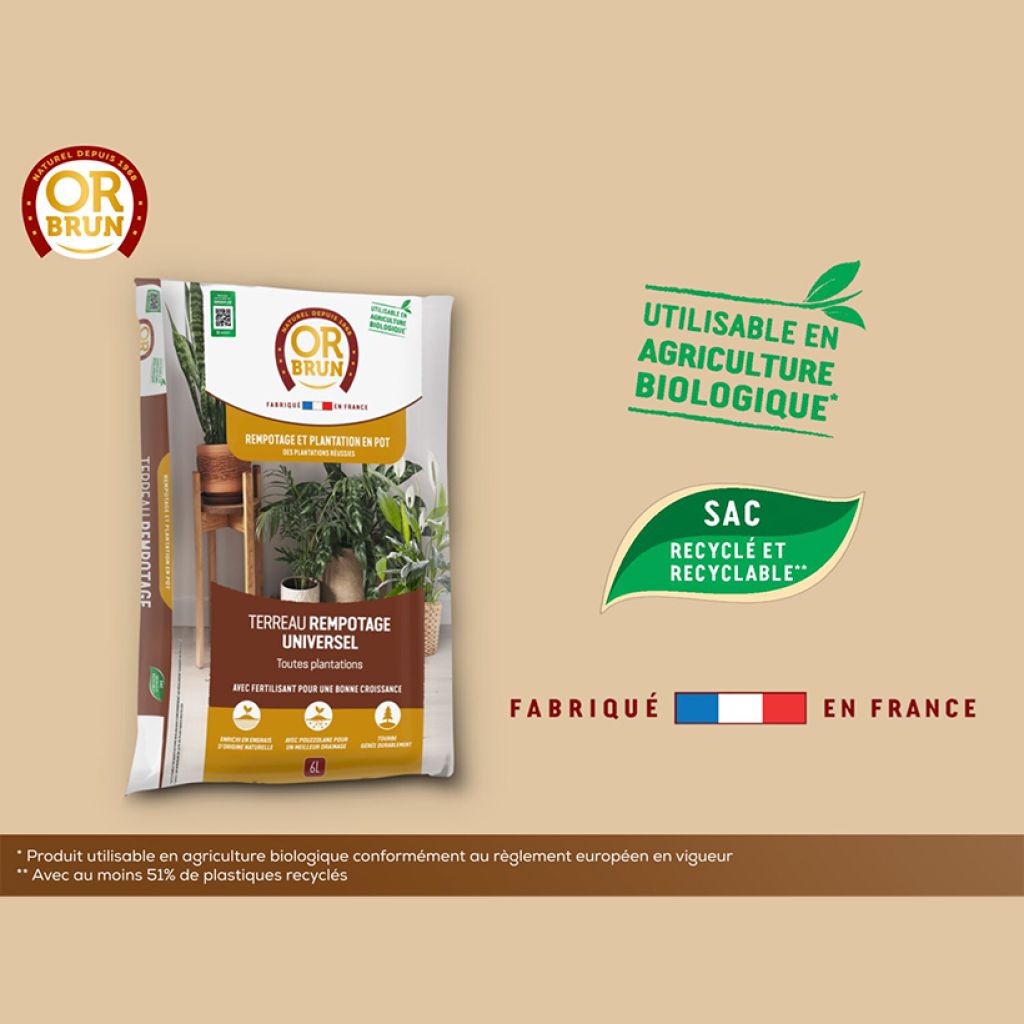 Terreau rempotage universel Or Brun
