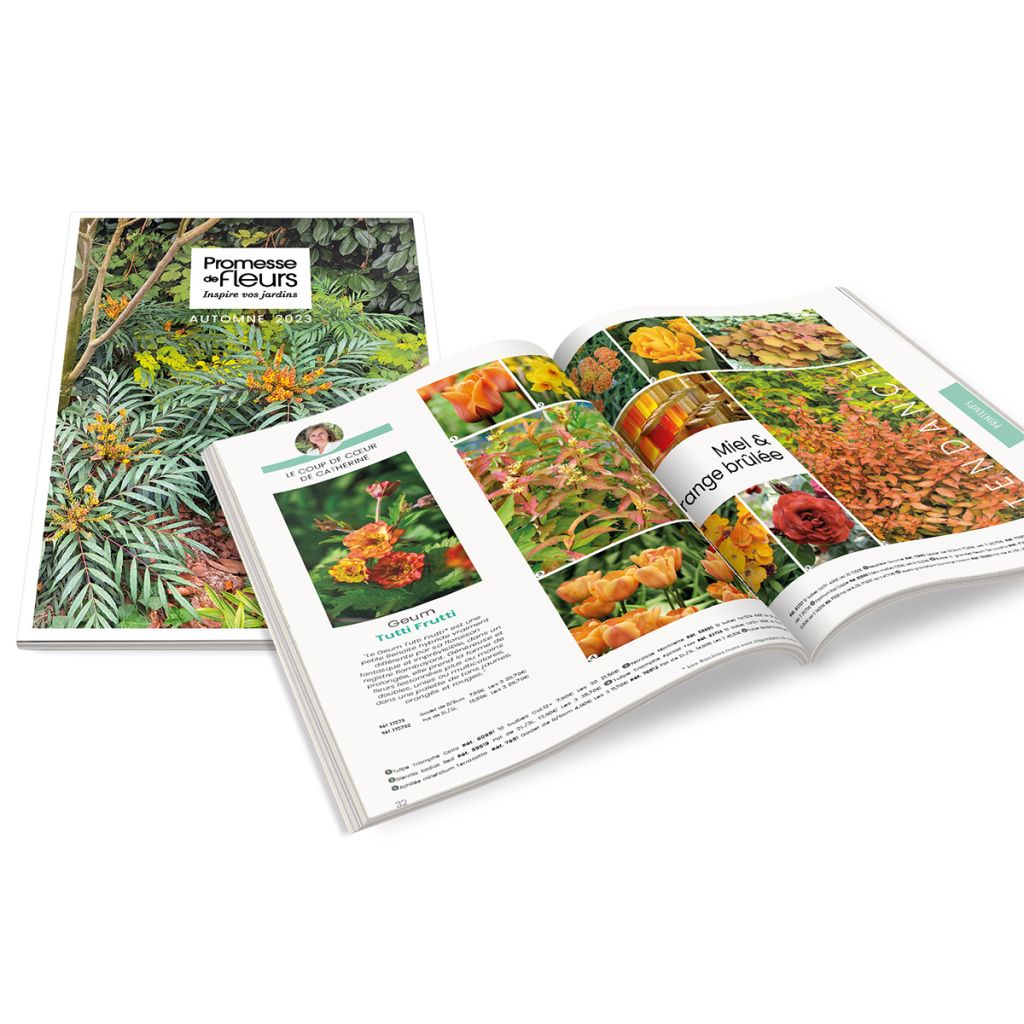 Catalogue Promesse de Fleurs