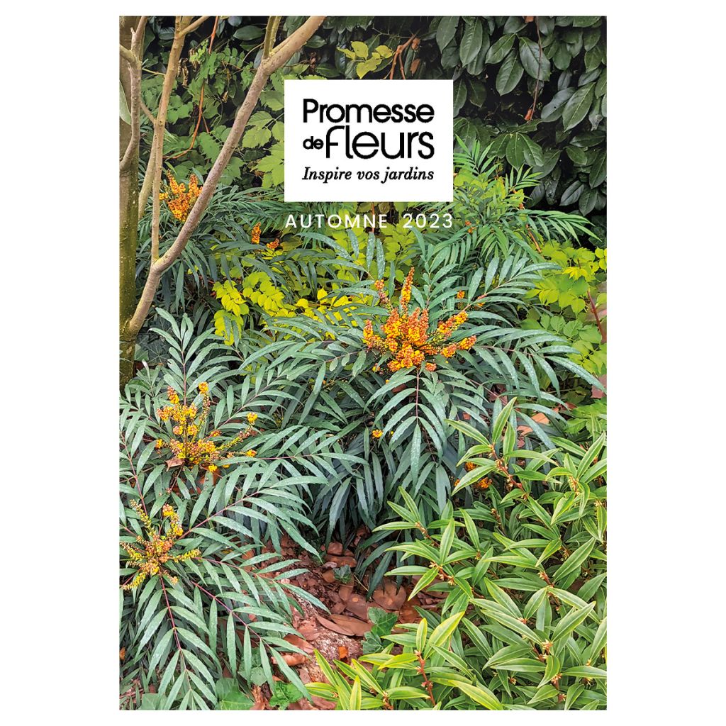 Catalogue Promesse de Fleurs