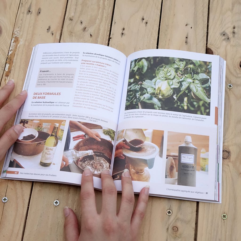 Des médecines douces pour vos fruitiers