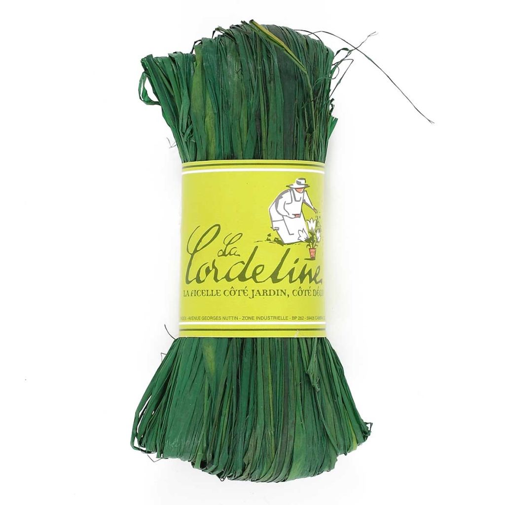 Raphia en floche de 50g La Cordeline - Coloris Menthe