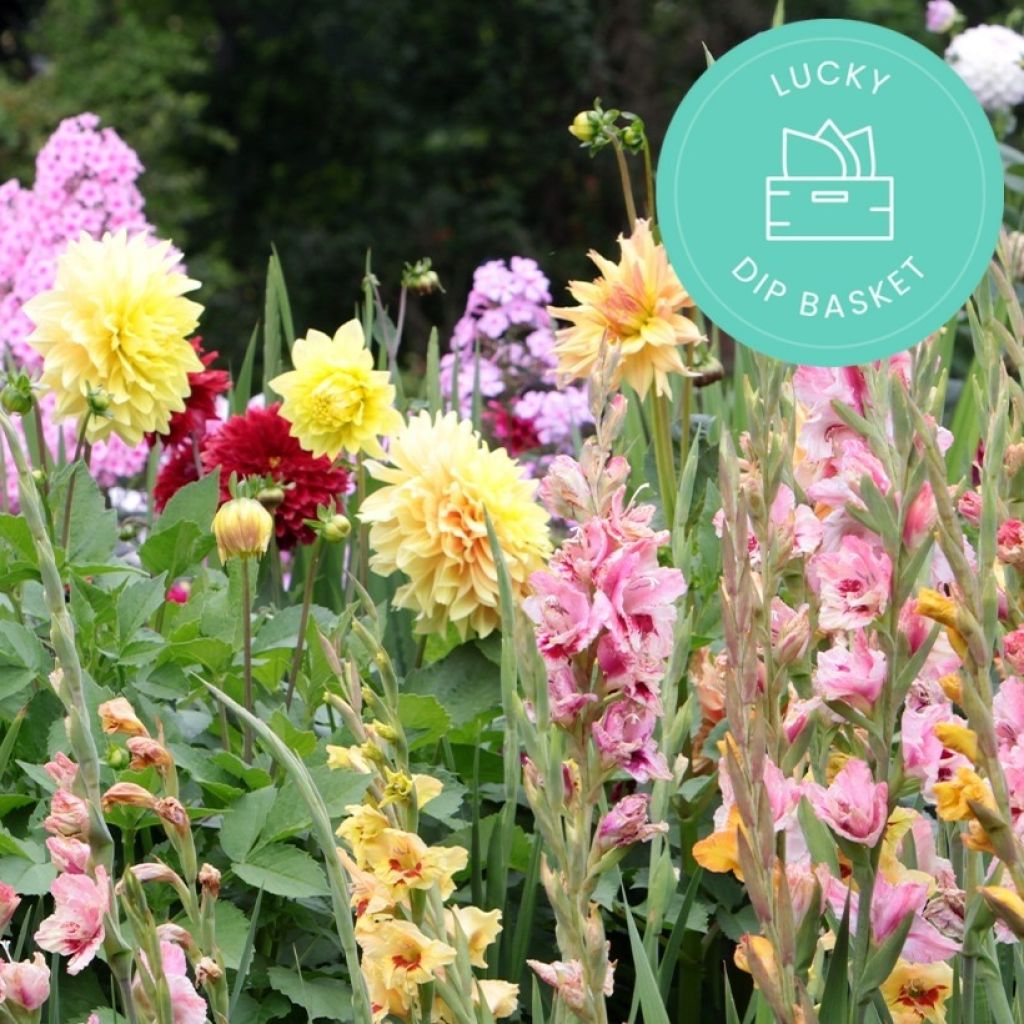 Promesse de Fleurs' anti-waste bulbs basket