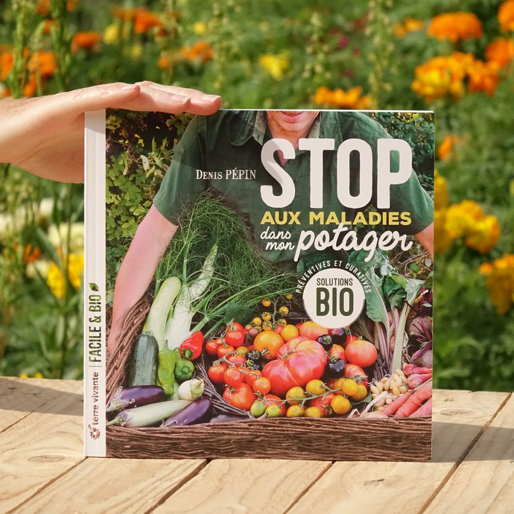 Stop aux maladies dans mon potager