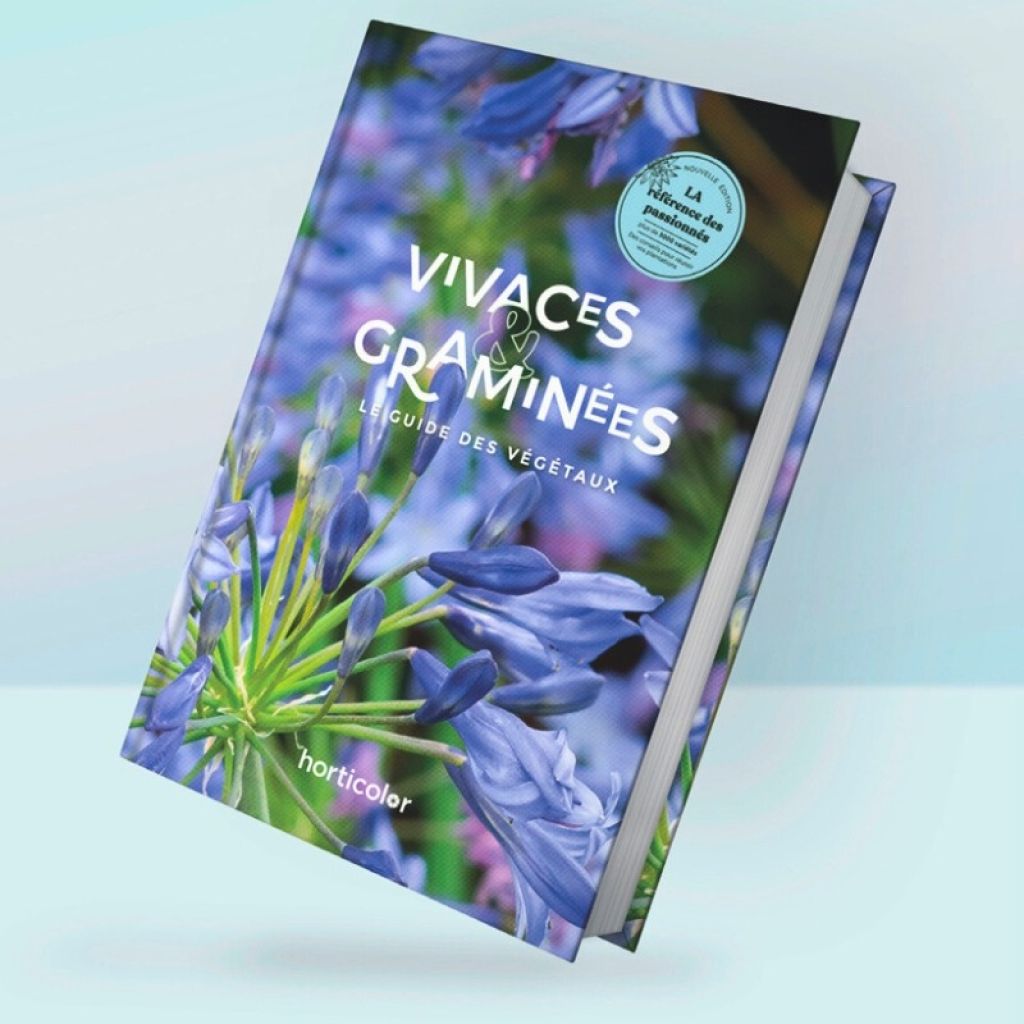 Vivaces & Graminées