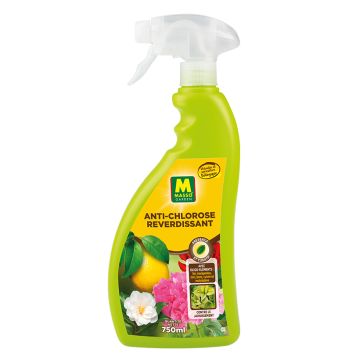 Anti-Chlorose reverdissant Magma Masso Utilisable en Agriculture Biologique étui 150 g Anti-Chlorose reverdissant Magma Masso Utilisable en Agriculture Biologique étui 150 g