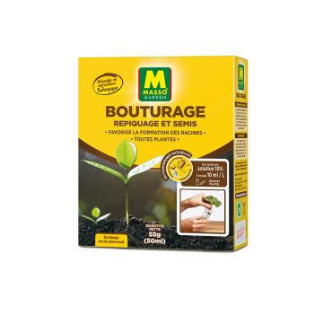Bouturage repiquage et semis 