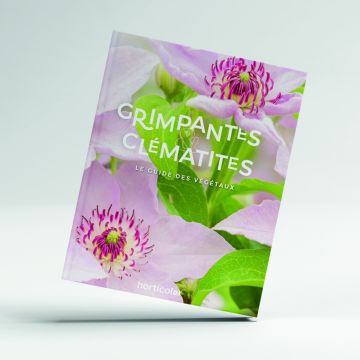 Grimpantes & Clématites