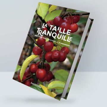 Taille Tranquille Taille Tranquille