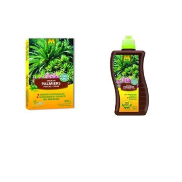 Engrais palmiers, yuccas et cycas en UAB boite de 800 g