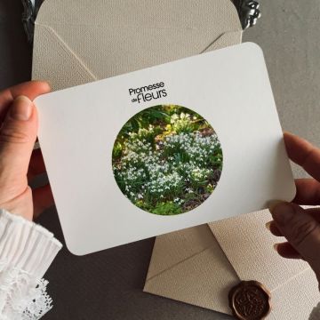 Carte cadeau