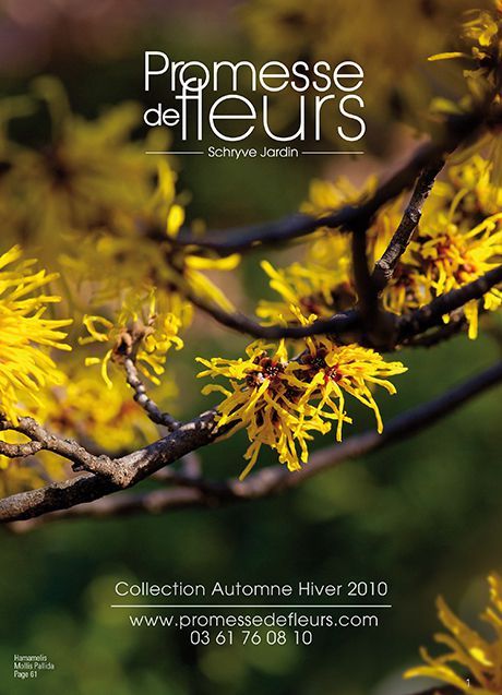 Automne Hiver 2010