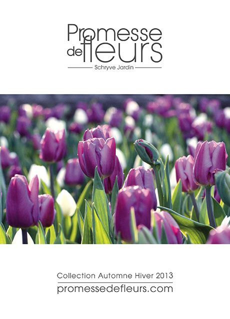 Automne Hiver 2013