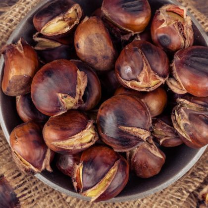 La châtaigne : tout savoir sur ce fruit d'automne