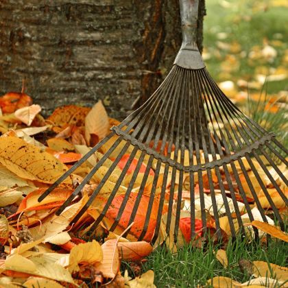 Que faire au jardin en octobre ?