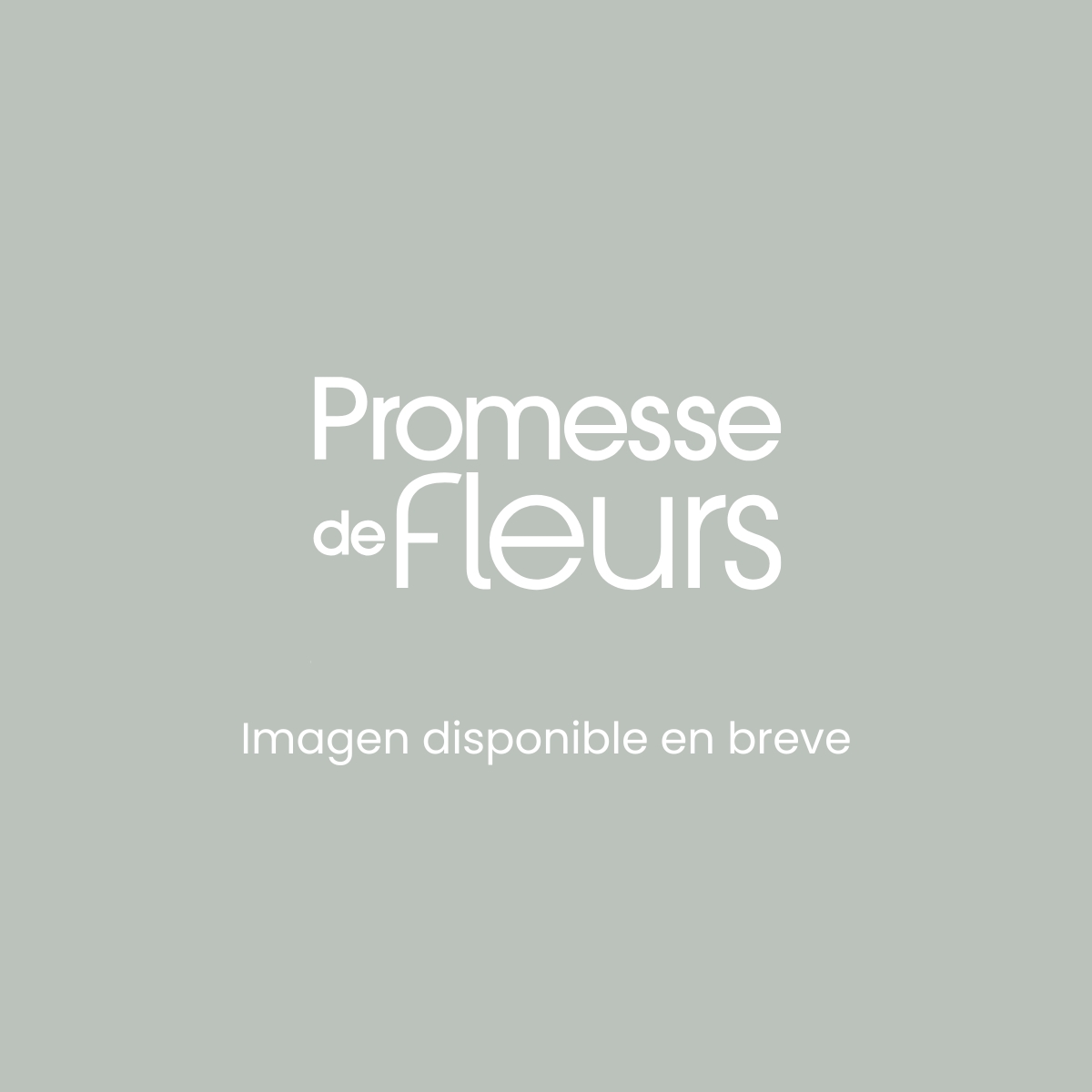 Arándano Patriot Bio