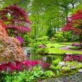 Jardin japonais