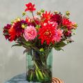 Dahlias pour bouquets