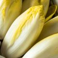 Endives