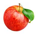 Fruitiers en promotion