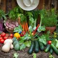 Légumes par variété