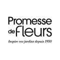 Graines potagères Promesse de Fleurs