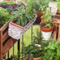 Potager sur terrasse et balcon