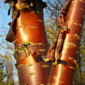 Prunus à écorce décorative