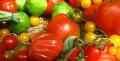 Plants de Tomates de A à Z