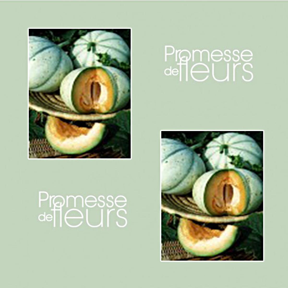 Graines De Melon De Cavaillon – 20 Semences Pour Cultiver Des Melons Sucrés Et Juteux Dans Ton Jardin