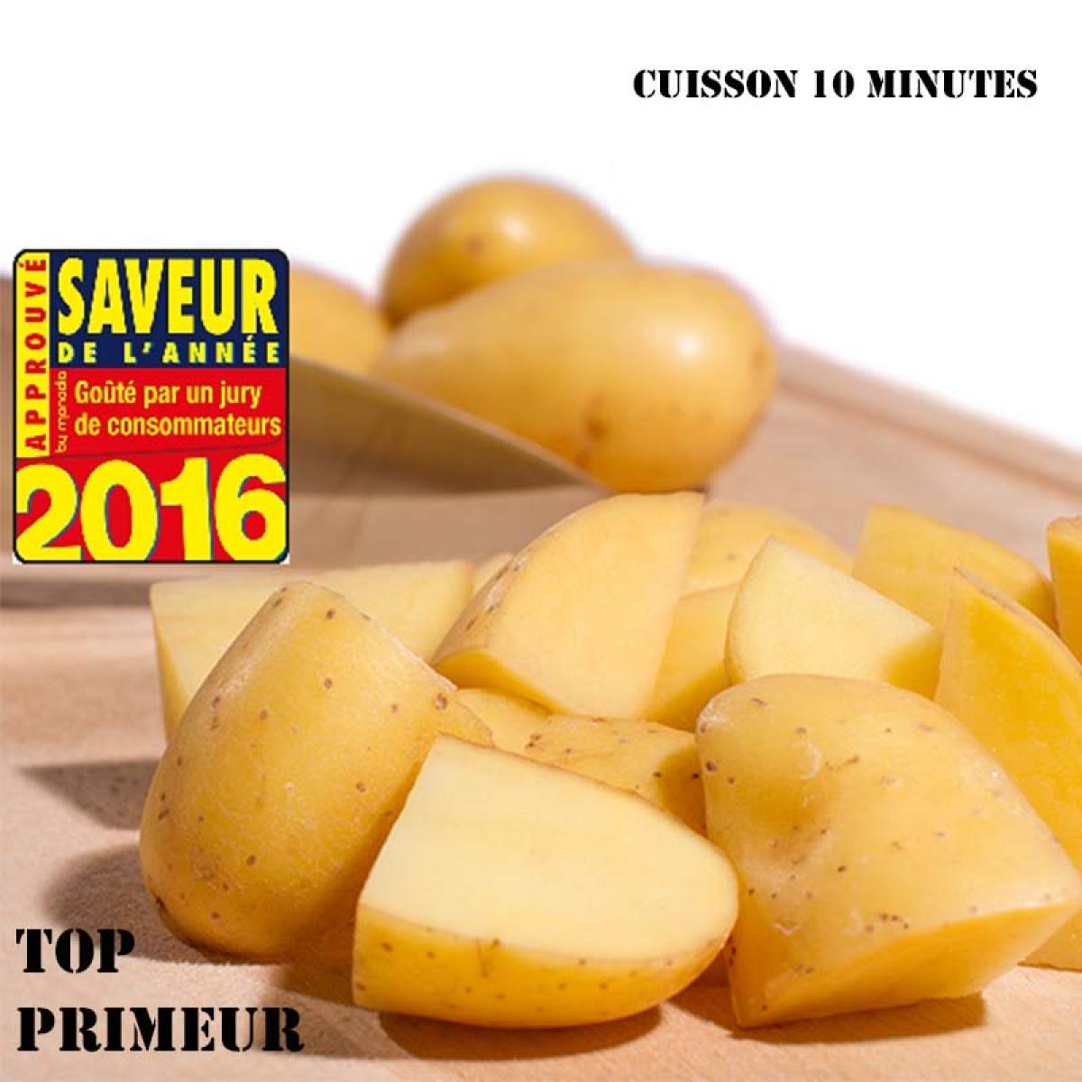 Pommes de terre Jazzy - plants potager