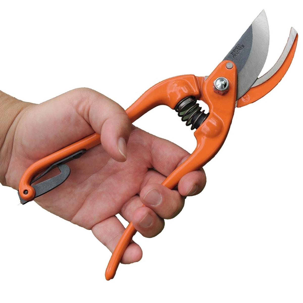 Sécateur à Tailler en Acier Forgé 23cm | Précision et