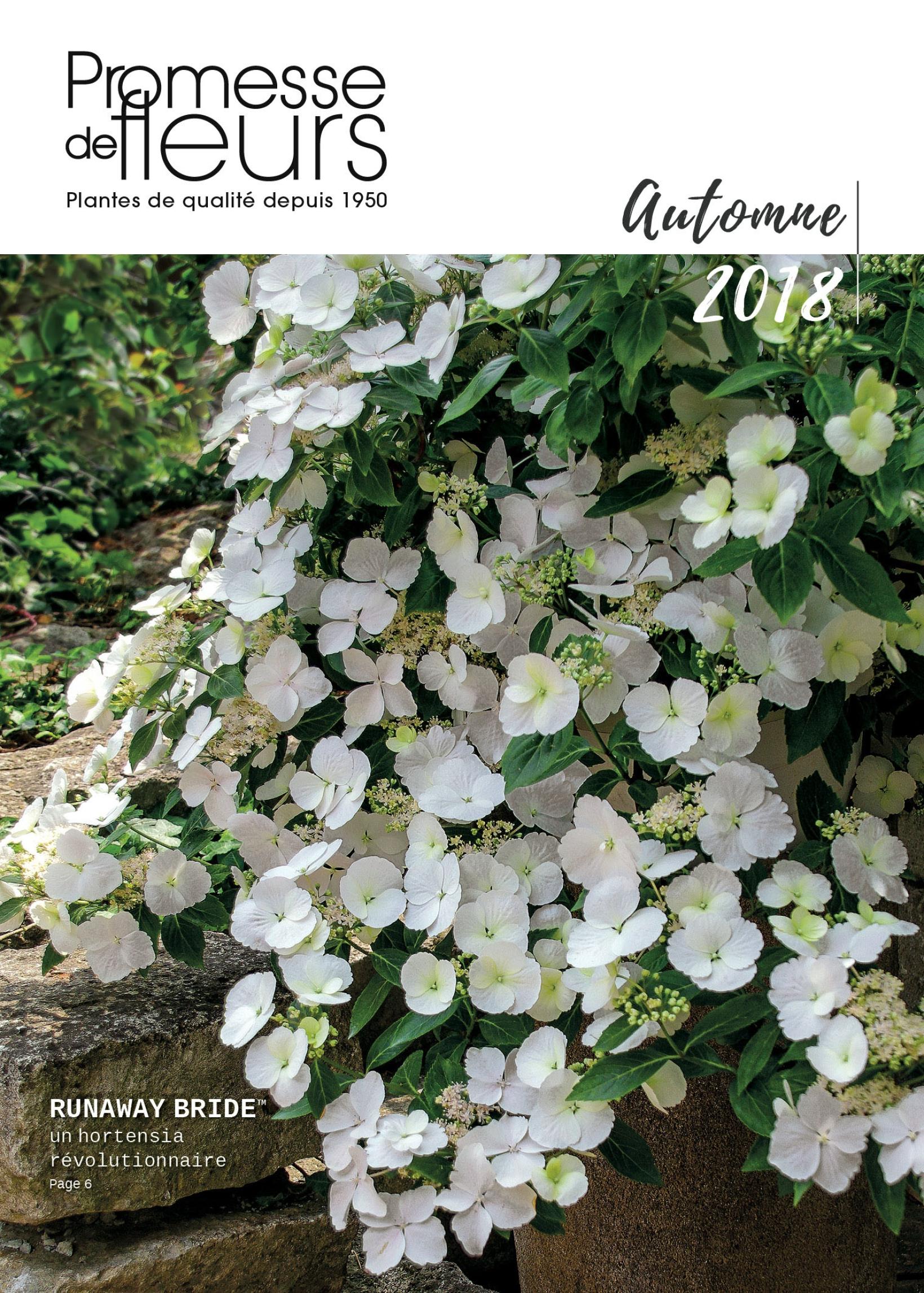 Catalogue Promesse de Fleurs