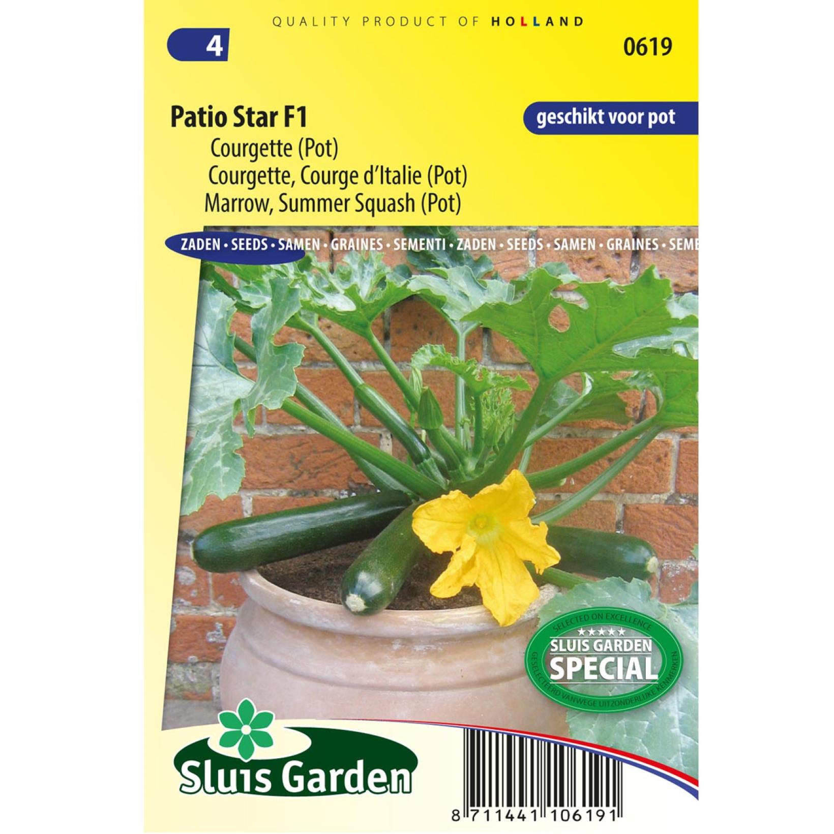 Courgette miniature Patio Star F1 Graines potagères Cucurbita pepo