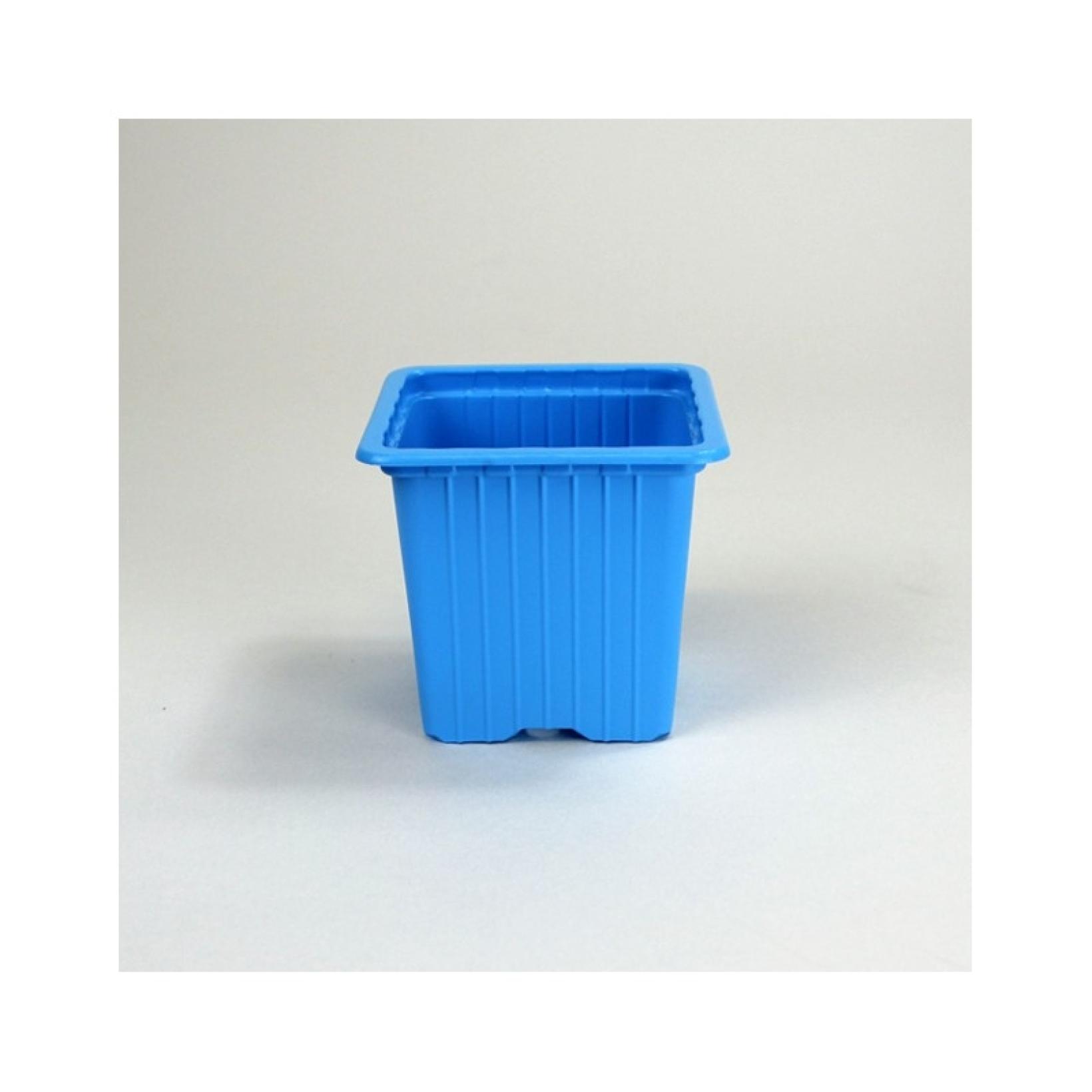 Godet couleur Bleu Clair Soparco pour semis et repiquage vendu par 30