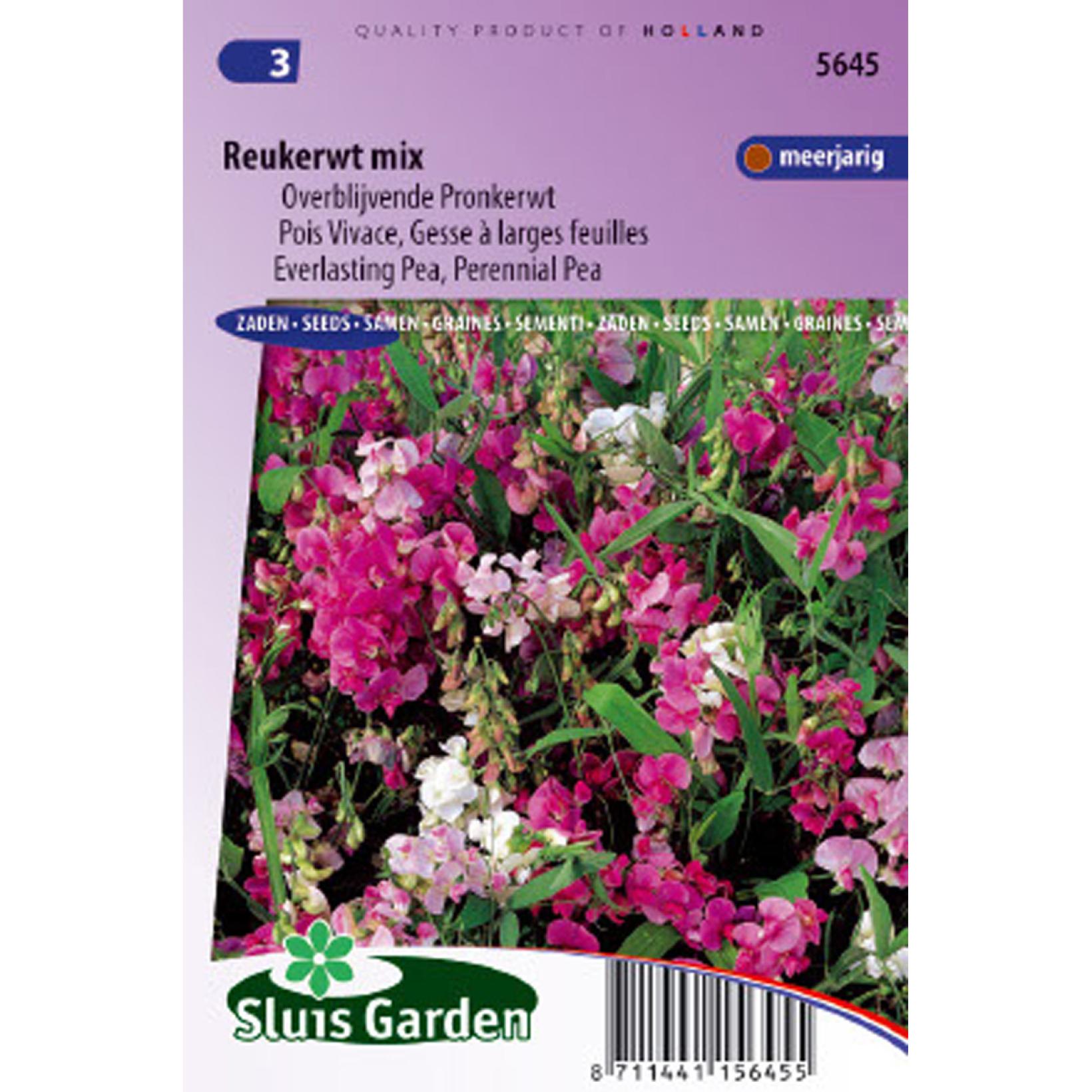 Pois de senteur vivace Lathyrus latifolius Pois de Chine Plante — free download