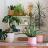 Plantes d'intérieur par variété