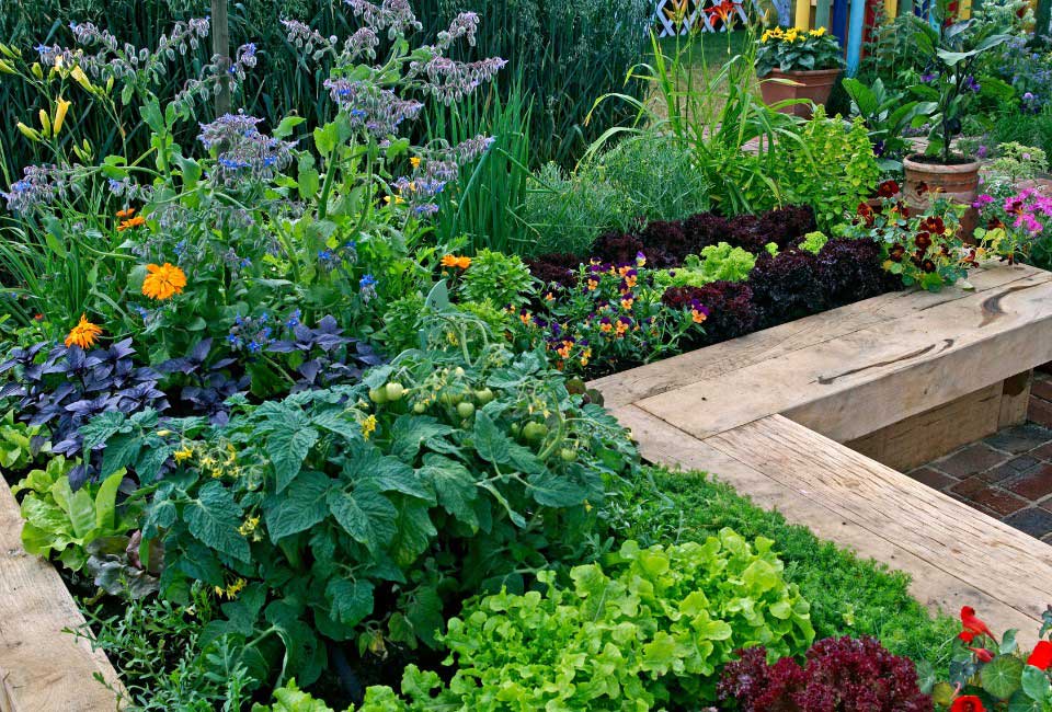 https://www.promessedefleurs.com/media/wysiwyg/Fiches-conseil-Meilland/Jardin-seme-de-fleurs-Potager.jpg