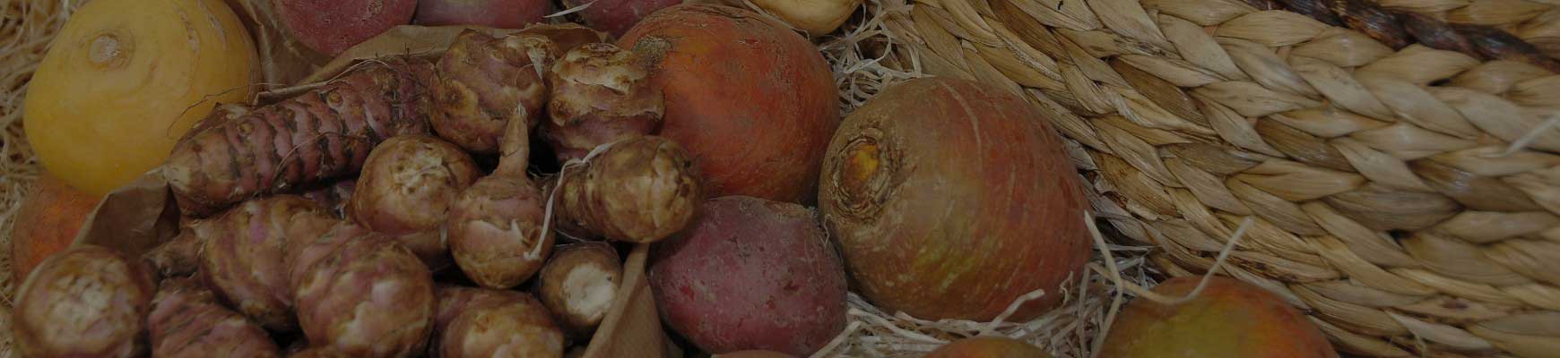 L&eacute;gumes oubli&eacute;s : red&eacute;couvrez les tr&eacute;sors anciens du potager