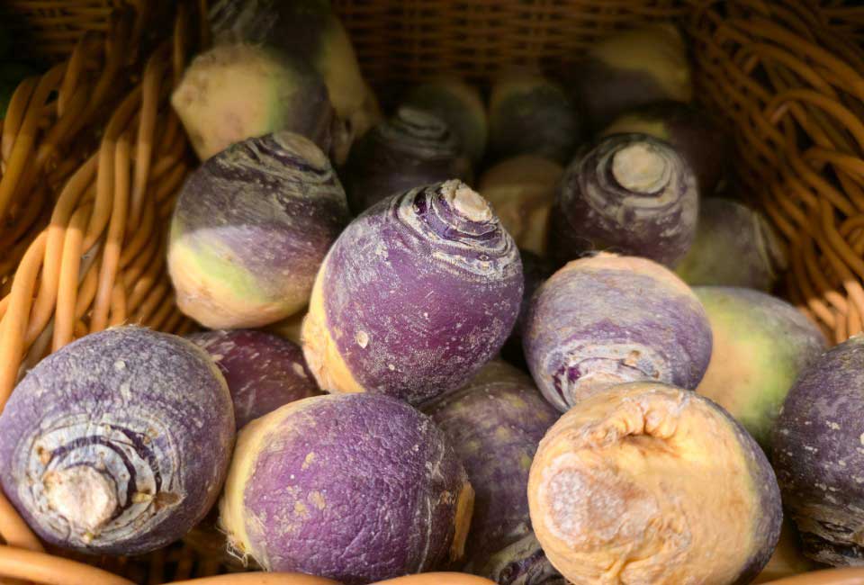 https://www.promessedefleurs.com/media/wysiwyg/Fiches-conseil-Meilland/Legumes-oublies-Rutabaga.jpg