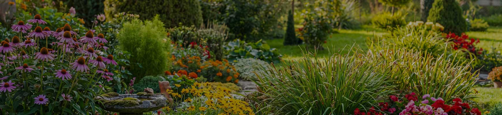 Planter en &eacute;t&eacute; : pour ou contre ?