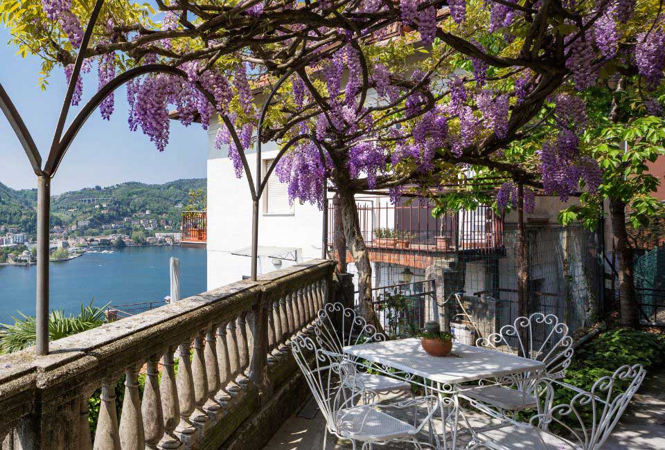 https://www.promessedefleurs.com/media/wysiwyg/Fiches-conseil-Meilland/Plantes-grimpantes-pour-ombrager-une-pergola.jpg