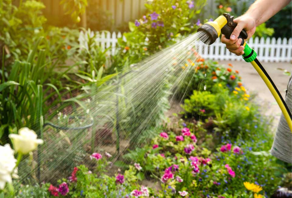 https://www.promessedefleurs.com/media/wysiwyg/Fiches-conseil-Meilland/Que-faire-au-jardin-en-juillet-Arrosage.jpg